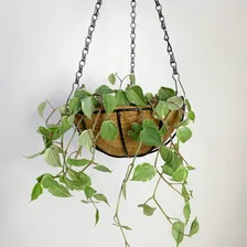 Alpe & Aritana florero kit 2 vasos fibra de coco com corrente Suspensa 25cm Natural Foto mini  3
