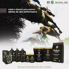 Amino Equus Sport 10 Kg - Lavizoo Foto mini 2