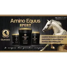 Amino Equus Sport 10 Kg - Lavizoo Foto mini 3