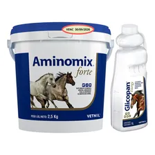 Aminomix Forte 2,5kg + Glicopan Energy 1 Litro Vetnil Foto  mini 1