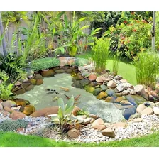 Anti Algas Lago Tanque Deixa Agua Cristal Green Ease 250ml Foto mini 2