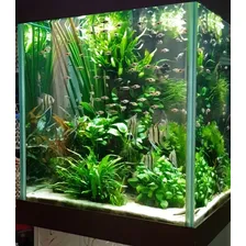 Anti Algas Lago Tanque Deixa Agua Cristal Green Ease 250ml Foto mini 3