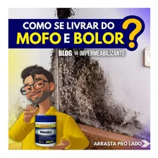 Antimofo Macplus 250ml Para Tinta Acrilica 18l Chega De Mofo Foto mini 3