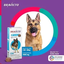 Antipulgas Bravecto Msd Cães 20-40kg - 2 Comp. 100% Foto mini  3