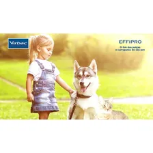 Antipulgas E Carrapatos Virbac Effipro Cães 20 A 40 Kg Foto mini 2
