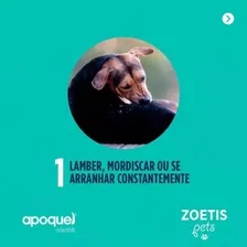 Apoquel 16mg Cães - Zoetis - Combo 3 Unidades Foto mini 4