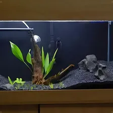 Aqua Pedras Substrato Basalto N 1 10kg AquƔrio Lago Jardim Foto mini 4