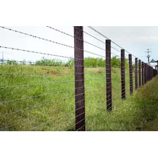 Arame Farpado 100% Galvanizado 100m Nelore Foto mini 4