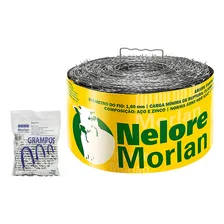 Arame Farpado 500m Nelore Morlan + Grampo Foto mini 1