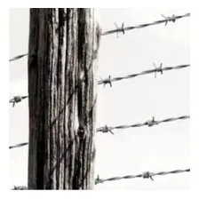 Arame Farpado Fioforte Rolo 500m 1,6mm Foto mini 4