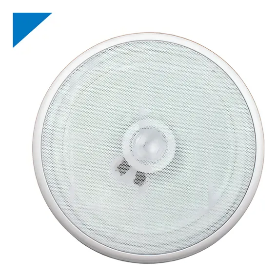 Arandela 6 Polegada Com Alto Falante Coaxial Som Ambiente Cor Branco Foto 1