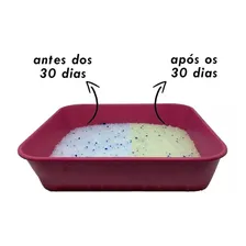 Areia Sanitária Micro Cristais SÃlica Em Gel 1,6kg Gato Foto mini 3