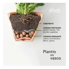 Argila Expandida Substrato Em Bolinhas De Bom Tamanho Venda Foto mini 4
