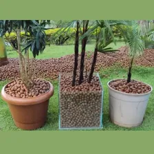 Argila Expandida Substrato Em Bolinhas De Bom Tamanho Venda Foto mini 2