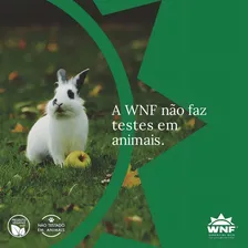 Argila Facial Verde Profissional Natural Wnf 150g Foto mini 4