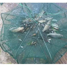 Armadilha Covo Peixes 8 Furos Camarões Tilápia Foto mini 4