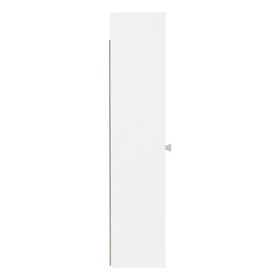 Armário De Banheiro Aéreo 1 Porta 2 Prateleiras Branco Bp Foto 1