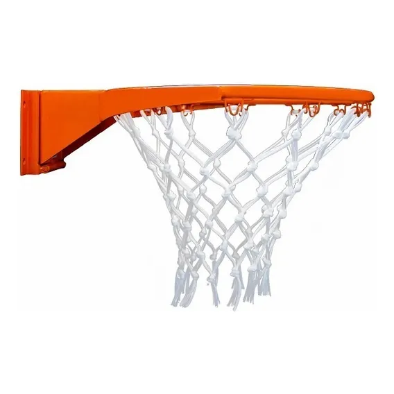 Aro Basquete Profissional (com Mola) Foto 1
