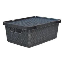 Arqplast Jutta organizador caixa com tampa pequena 6 litros Foto  mini 1