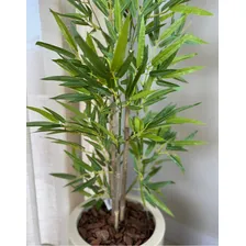 Arranjo Bamboo Rtificial Toque Real Com Vaso Coluna 1,60cm Foto mini 4