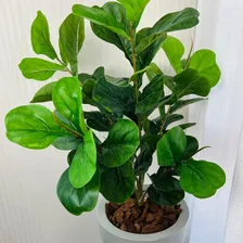 Árvore Artificial Ficus Lyrata Vaso Coluna 1,15cm Decorativa Foto mini 3