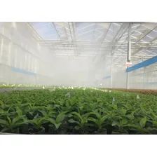 Aspersor Spray Para Irrigação Em Névoa Com Rosca - 100 Peças Foto mini 3
