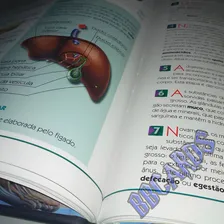 Atlas Visual Do Corpo Humano Anatomia Funções Do Nosso Corpo Foto mini  2