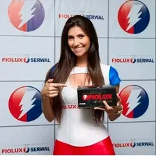 Auto Transformador 5000va (3600w) 110v 220v Tripolar Fiolux Foto mini 3