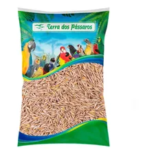 Aveia Com Casca 25kg Sementes Limpa Para Criador Pássaros Foto  mini 1