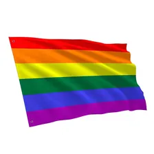 Bandeira Arco Iris Orgulho Lgbt Parada Gay Lgbt-rainbow Foto  mini 1