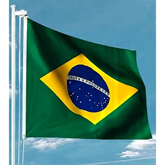 Bandeira Do Brasil Oficial Gigante 4,05x5,85 Metros 9 Panos Foto 1