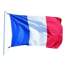 Bandeira Oficial Da França Foto mini 1