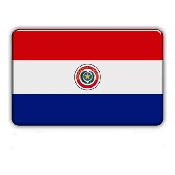 Bandeira Resinada Adesiva Do Paraguai - Tamanho 6,0 X 4,0 Cm Foto 1