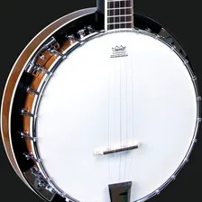 Banjo Strinberg Wb50 Mogno Pele Remo Weatherking Com Bag Foto mini  3
