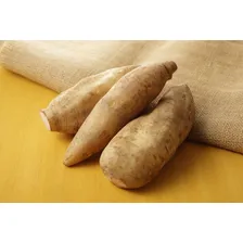 Batata Yacon - 1 Kg - Livre De Agrotóxicos Foto mini  2
