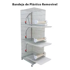 Bateria De 3 Gaiolas Para Galinha - Cor Prateado Foto mini 3