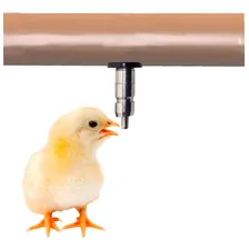 Bebedouro Automático Para Aves Tipo Niple Inox Foto mini 1
