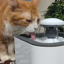 Bebedouro Fonte Agua Filtro 2.5 Litros Gato Bomba Dagua Foto mini 3