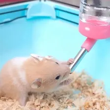 Bebedouro Para Porquinho Da India Hamster Ou Coelho 125 Foto mini 3