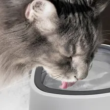 Bebedouro Pote Ăgua 1 Litro Boia Pelos Longos Pet CĂŁo Gato Foto mini 4