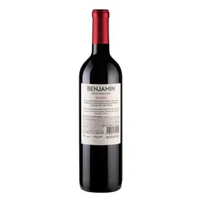 Benjamin Nieto Senetiner Malbec vinho argentino tinto 750ml Foto mini  2