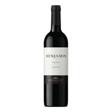 Benjamin Nieto Senetiner Malbec vinho argentino tinto 750ml Foto  mini 1