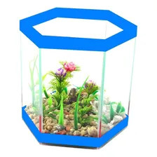 Beteira Sextavada Grande Decorada Azul Foto mini 1