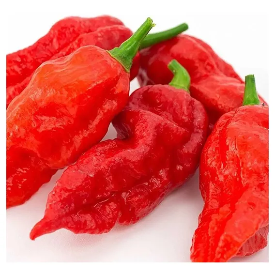 Bhut Jolokia Pimenta + Ardida Do Mundo - Sementes Orgânicas Foto 1