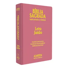 Bíblia Feminina Letra Gigante Extra Gigante Jumbo Rosa Foto  mini 1