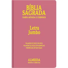 Bíblia Feminina Letra Gigante Extra Gigante Jumbo Rosa Foto mini  3