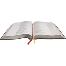 Bíblia Sagrada Verdadeira Identidade, de Naa. Editora Sbb, capa mole em português Foto mini 4