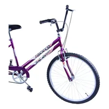 Bike Bicicleta Triciclo Adulto Aro 20 Food Bike Violeta Foto mini 2