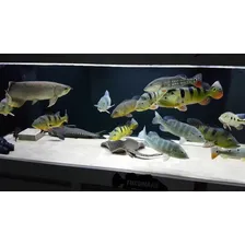 Bio Glass 1 Litro Ocean Tech Midia Biologica + Bag P/ Filtro Foto mini 4