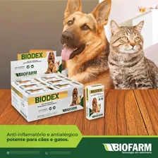 Biodex Anti-inflamatório E Antialérgico 20 Comprimidos Foto mini 3